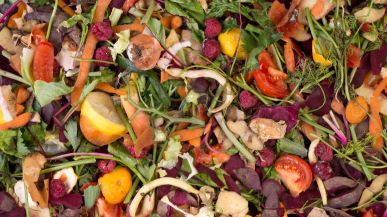 Ako kompostovať, čo patrí do kompostu a čo nie1